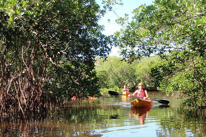 Guided Kayak Eco Tour - Bunche Beach - Kayaking Equipment Provided