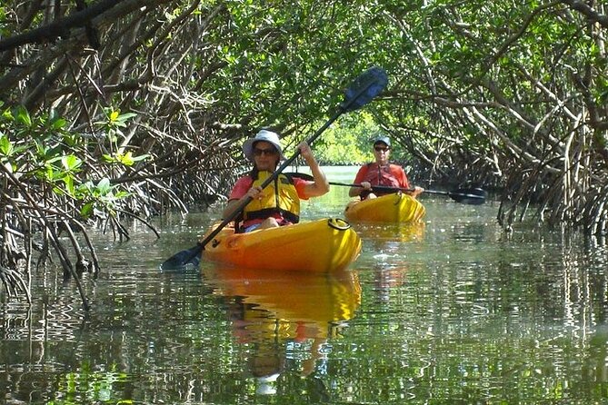 Guided Kayak Eco Tour in Pelican Bay - Accessibility