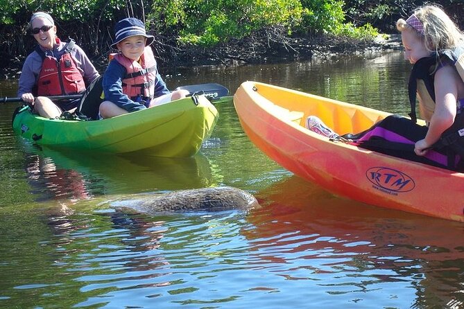 Guided Kayak Eco Tour in Pelican Bay - Potential Wildlife Sightings