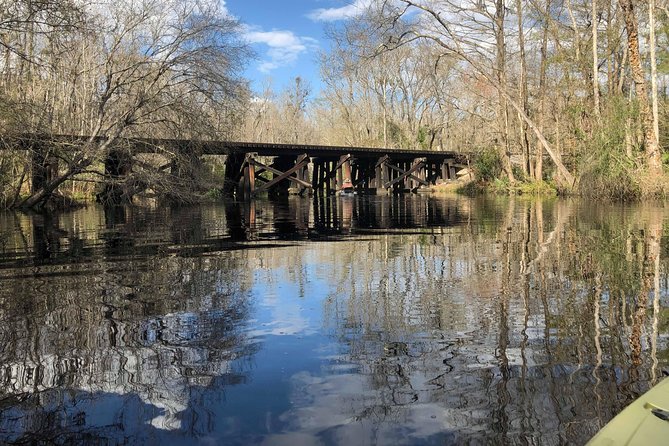Guided Kayak Eco Tour: Real Florida Adventure - Spotting Wildlife