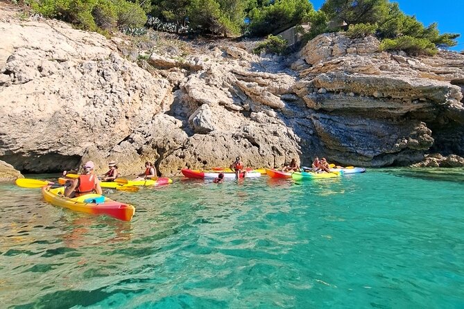 Guided Kayak Excursion in Creeks - Experience Highlights