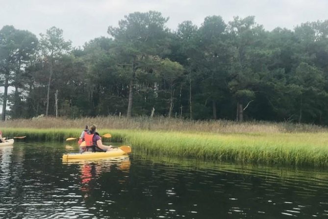 Guided Kayak Excursion Rehoboth Back Bay - Tour Duration and Capacity