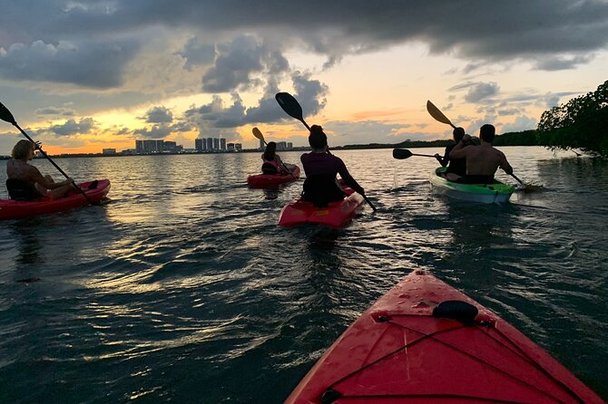 Guided Kayak Experience in Cancun - Accessibility and Additional Information