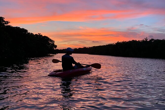 Guided Kayak Experience in Cancun - Customer Reviews and Feedback