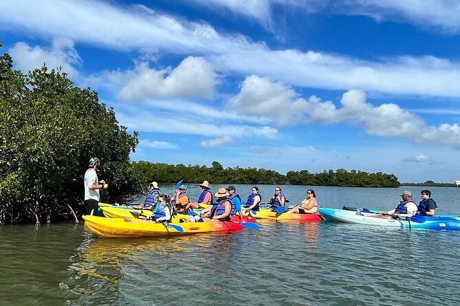 Guided Kayak Mangrove Ecotour in Rookery Bay Reserve, Naples - Confirmation Details