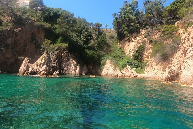 Guided Kayak & Snorkel Tour to Costa Brava: Small Group and Lunch - Participant Requirements