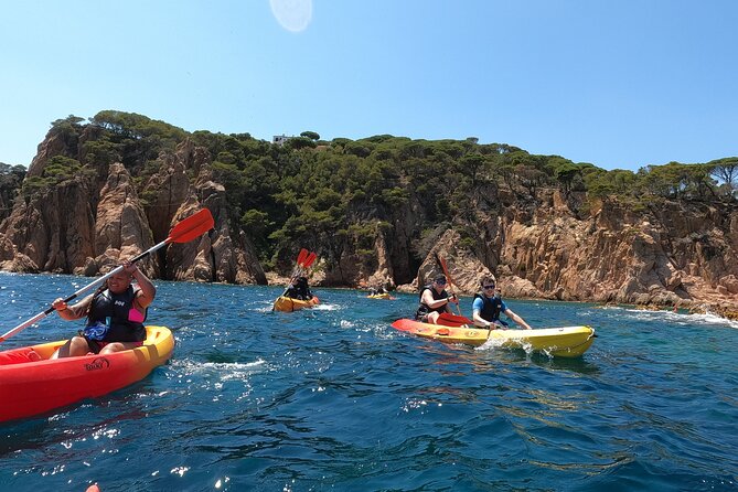 Guided Kayak & Snorkel Tour to Costa Brava: Small Group and Lunch - Picnic Lunch
