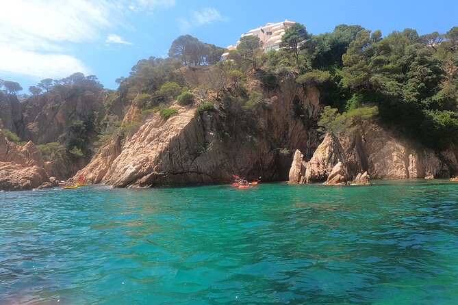 Guided Kayak & Snorkel Tour to Costa Brava: Small Group and Lunch - Reviews and Feedback