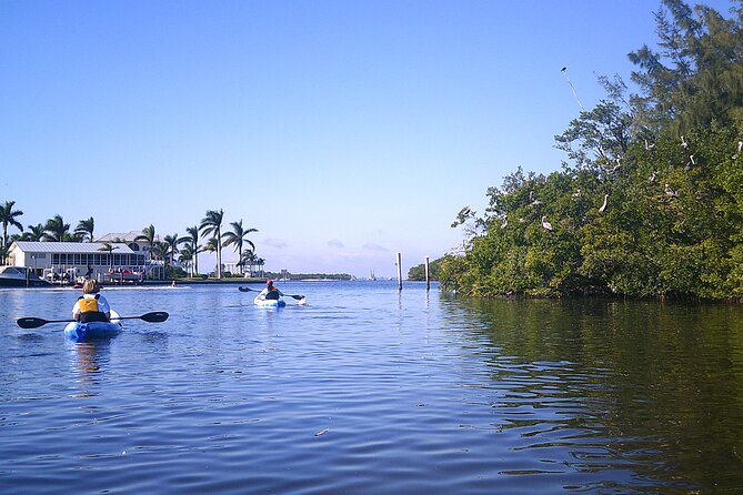 Guided Kayak Sunset Tour in Pelican Bay at Fort Myers Beach - Inclusions