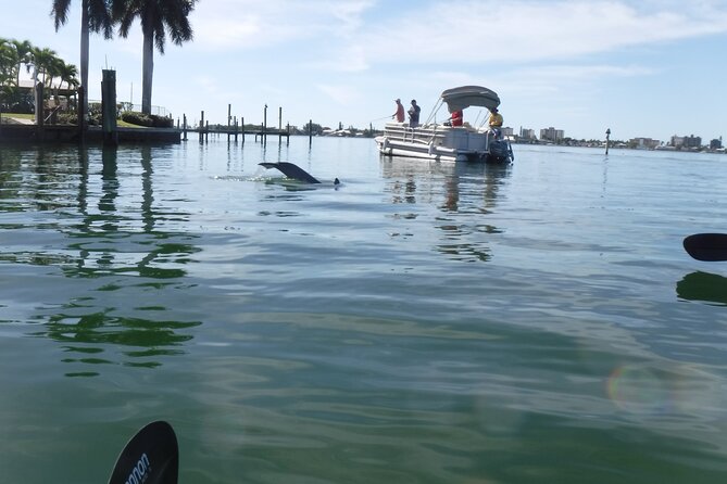 Guided Kayak Sunset Tour in Pelican Bay at Fort Myers Beach - Exploring Pelican Bay