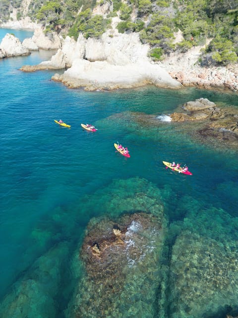 GUIDED KAYAK TOUR - BEGINNER 1h 15m - Key Points