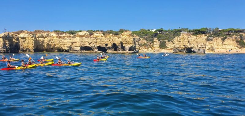 Guided Kayak Tour: Exploring Benagil Caves - Experience Highlights