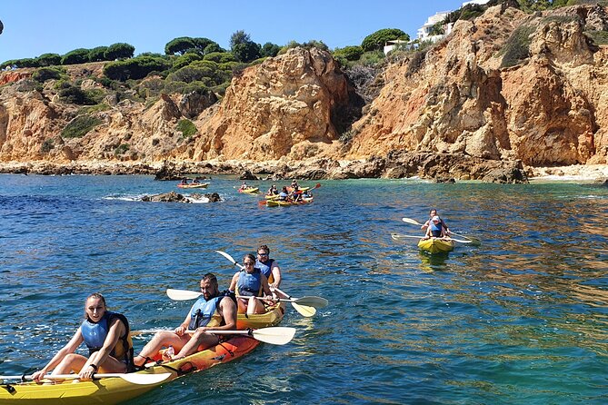 Guided Kayak Tour: Exploring Benagil Caves - Customer Experiences and Feedback