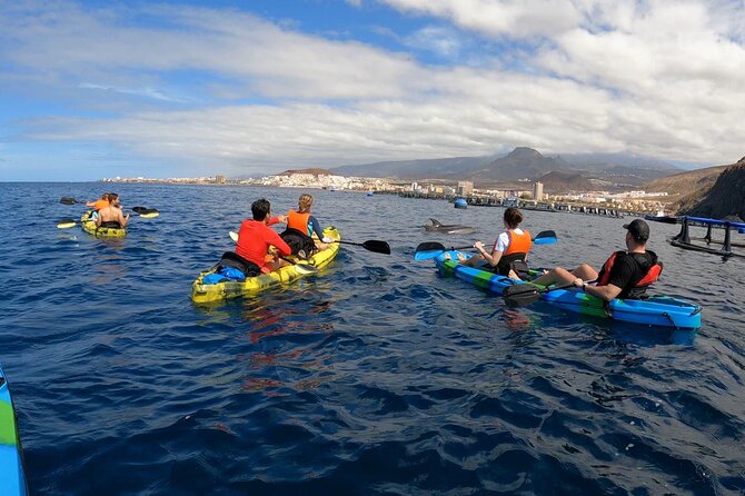 Guided Kayak Tour From Los Cristianos Beach Tenerife - Weather Considerations