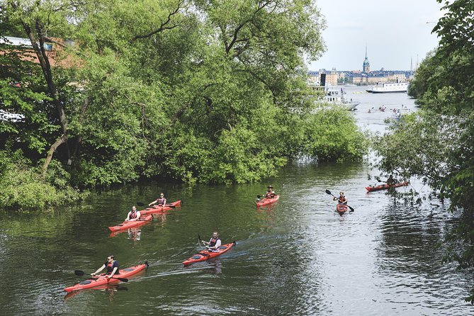 Guided Kayak Tour in Central Stockholm - Preparing for the Kayak Adventure