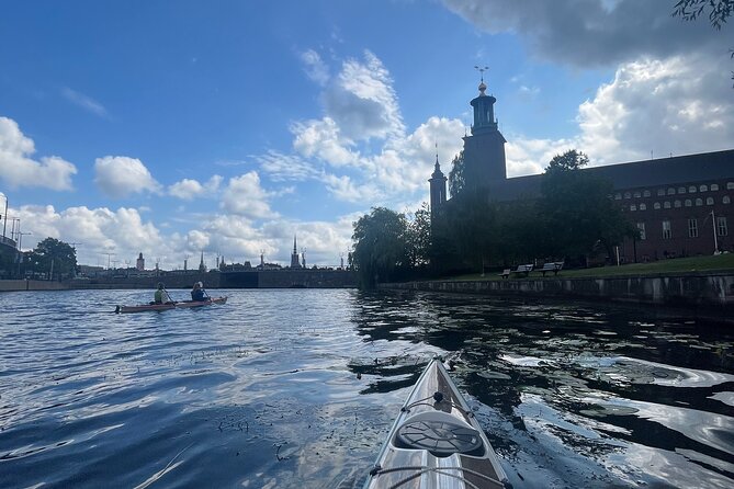 Guided Kayak Tour in Central Stockholm - Customer Feedback and Highlights