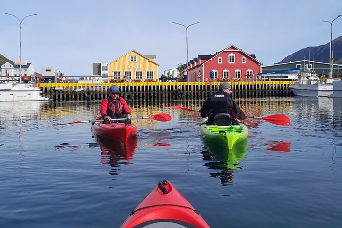 Guided Kayak Tour in Siglufjordur. - Key Points
