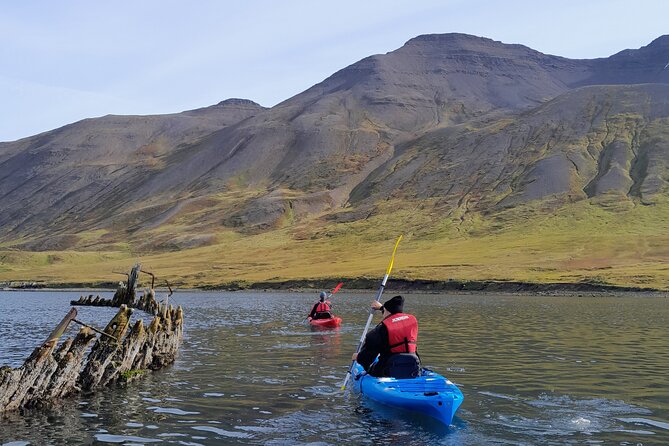 Guided Kayak Tour in Siglufjordur. - Meeting and Pickup