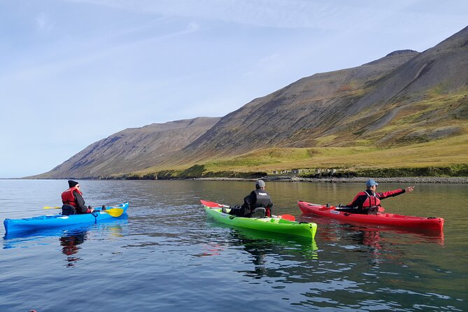 Guided Kayak Tour in Siglufjordur. - Kayak Tour Highlights