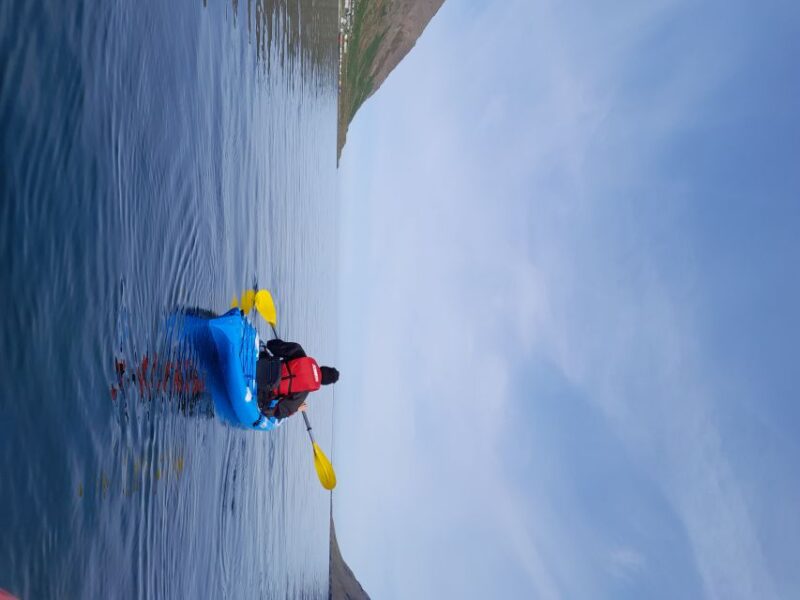 Guided Kayak Tour in Siglufjörður / Siglufjordur. - Experience Highlights