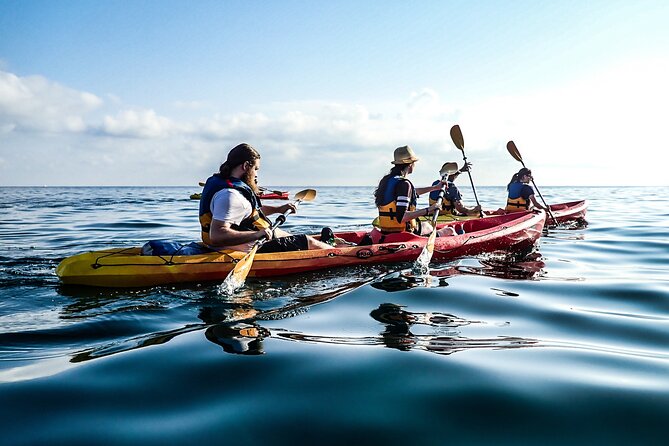 Guided Kayak Tour in St Pauls Island - Booking Details and Policies