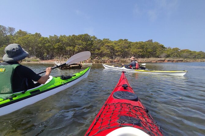 Guided Kayak Tour Inside the Stagnone of Marsala - Participant Requirements and Accessibility