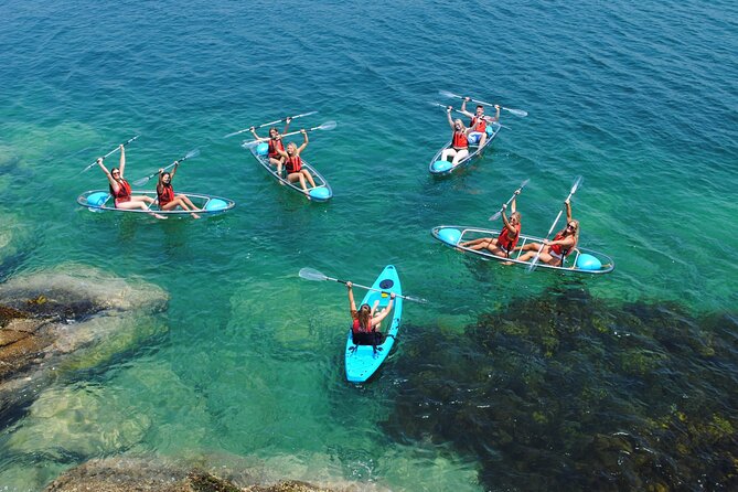 Guided Kayak Tour of Manly Cove Beaches - Inclusions and Meeting Information
