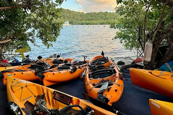 Guided Kayak Tour of Salt River Bay Ecology and History - A Closer Look at the Guided Kayak Tour of Salt River Bay