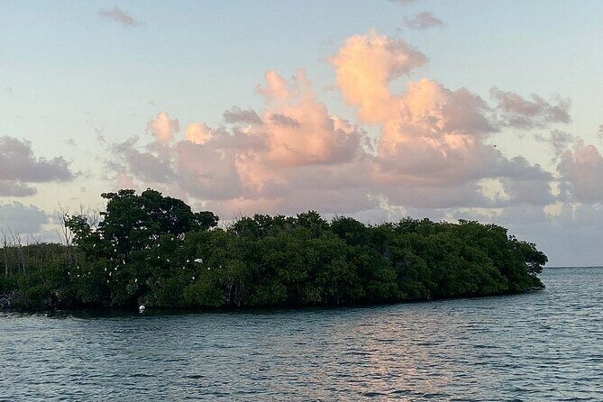 Guided Kayak Tour of Salt River Bay Ecology and History - What You’ll Experience Step-by-Step