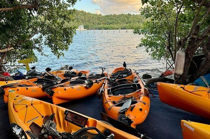 Guided Kayak Tour of Salt River Bay Ecology and History - FAQs