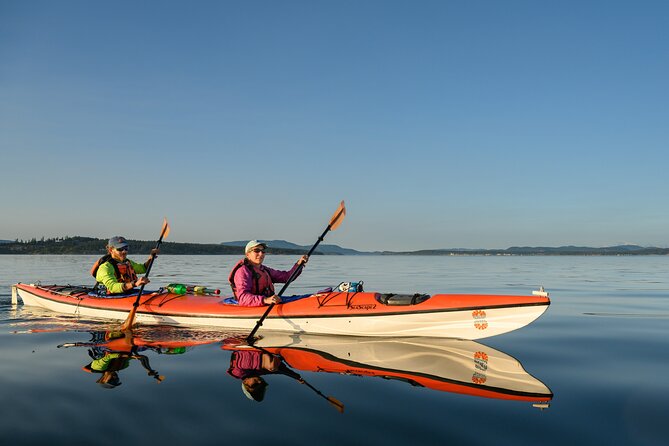 Guided Kayak Tour on San Juan Island - Highlights of the Adventure