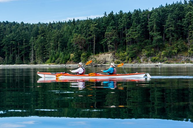 Guided Kayak Tour on San Juan Island - Frequently Asked Questions
