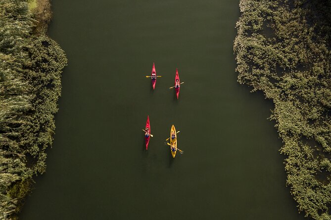 Guided Kayak Tour to Gracia Island - Meeting and Pickup