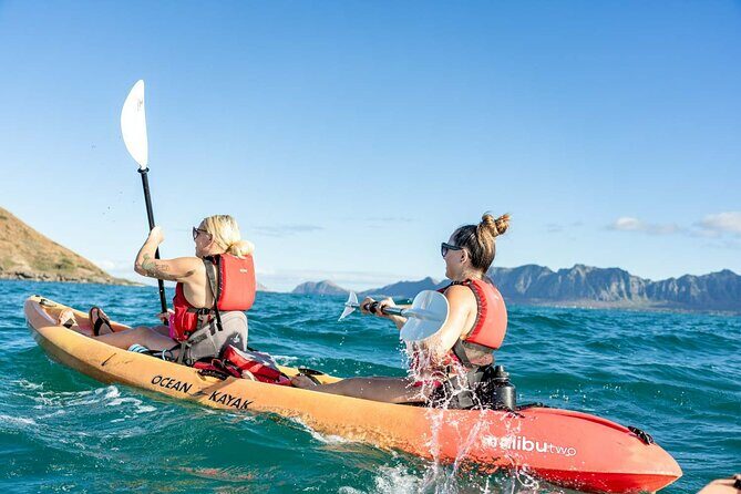 Guided Kayak Tour to Kailuas Twin Islands - Key Points