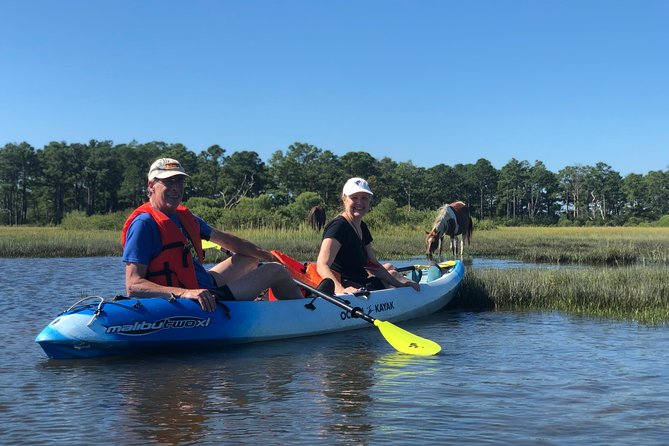 Guided Kayak Tour to See Ponies, Birds, Dolphins and More - Included Gear and Equipment