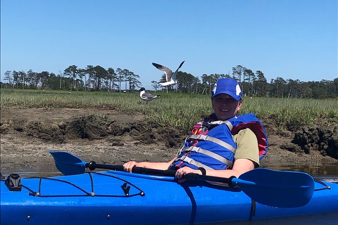 Guided Kayak Tour to See Ponies, Birds, Dolphins and More - Health and Safety Considerations