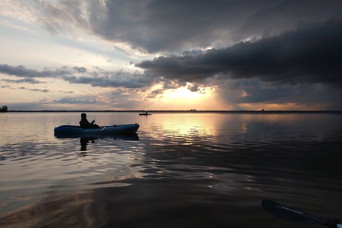 Guided Kayak Tour With Manatee & Dolphin Sightings - Tour Details