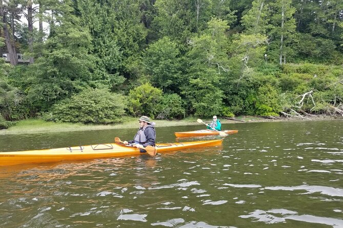 Guided Kayak Tours on the Salmon River Estuary in Otis, Oregon - Customer Feedback