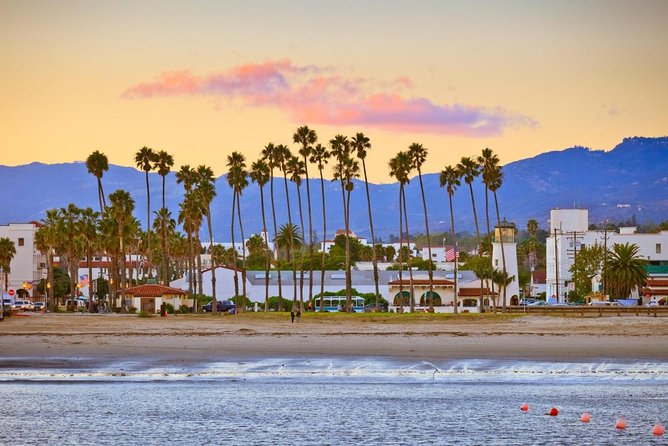 Guided Kayak Wildlife Tour in the Santa Barbara Harbor - Key Points