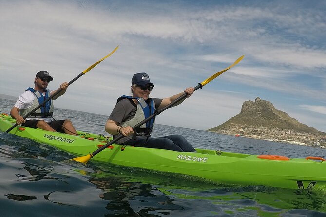 Guided Kayaking in Hout Bay - Marine Life Spotting