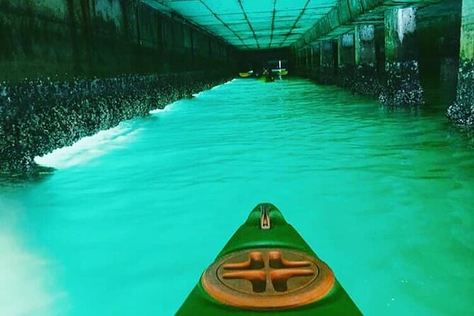 Guided Kayaking in Hout Bay - Stress-free Kayaking