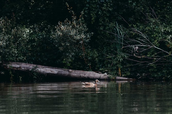 Guided Kayaking on the Nalón River Oviedo - Health and Safety