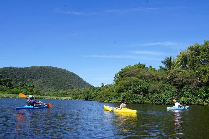 Guided Kayaking Tour of the Mitan Pond and its Mangrove - Who Should Book This Tour?