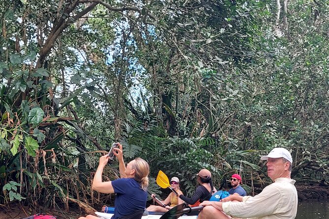 Guided Kayaking Tour to Punta Uva River With Nature and Swimming - Taking in Nature