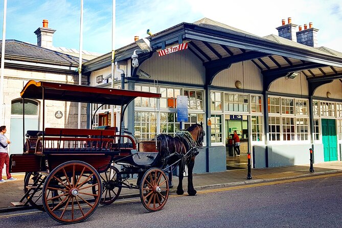 Guided Killarney National Park Tour - Meeting and Pickup