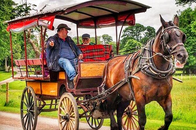 Guided Killarney National Park Tour - Accessibility and Participation