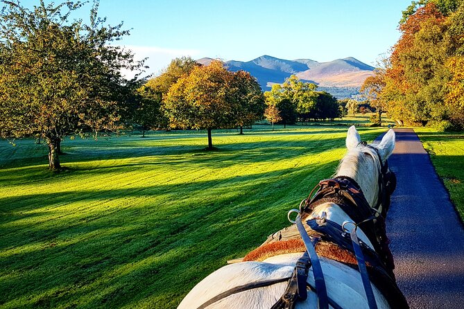 Guided Killarney National Park Tour - Admission to Ross Castle