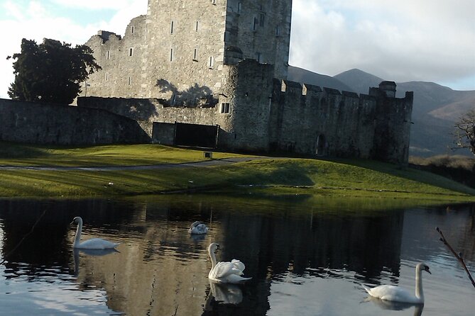 Guided Killarney National Park Walking Tour - Discovering Killarneys Medieval Heritage
