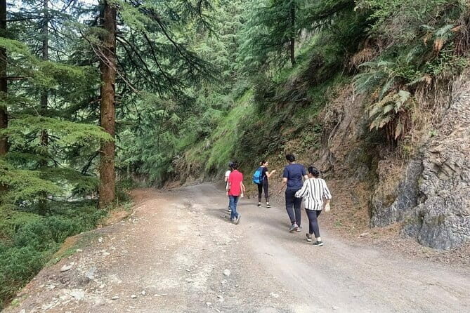 Guided Kora Circuit & Walking Tour Around McLeod Ganj - FAQ - Your Practical Questions Answered