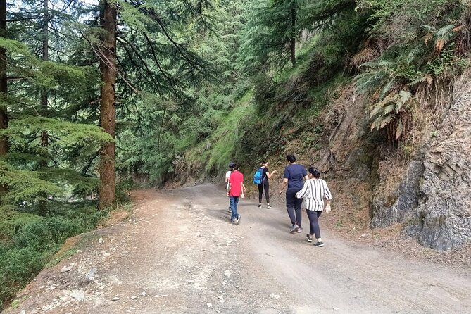 Guided Kora Circuit & Walking Tour Around McLeod Ganj - Travelers Perspectives